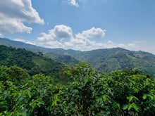 Load image into Gallery viewer, Peru - Cajamarca