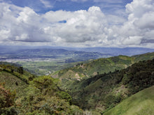 Load image into Gallery viewer, Colombia DECAF – El Carmen
