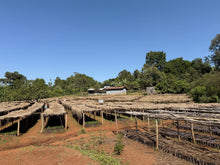 Load image into Gallery viewer, Ethiopia - Guji Megadu Natural Plot Duba