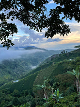 Load image into Gallery viewer, Colombia - Attia - Guayabos Café Agrario