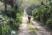 Load image into Gallery viewer, Guatemala - El Cabro