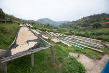 Load image into Gallery viewer, Rwanda - Nyabumera 1033