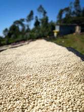 Load image into Gallery viewer, Ethiopia - G1 Bochesa