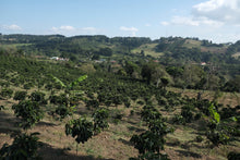 Load image into Gallery viewer, Costa Rica - Los Cipreses
