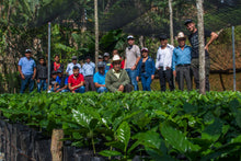 Load image into Gallery viewer, Mexico - Yoloxochitlán
