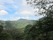 Load image into Gallery viewer, Nicaragua - Las Naranjas

