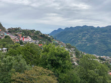 Load image into Gallery viewer, Mexico - Yoloxochitlán
