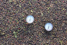 Load image into Gallery viewer, Brazil - Rancho Grande
