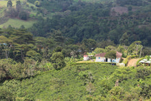 Load image into Gallery viewer, Colombia DECAF – ATUNKAA
