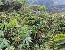 Load image into Gallery viewer, Peru - Moises Marin Mires
