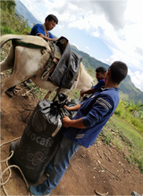 Load image into Gallery viewer, Peru - Moises Marin Mires
