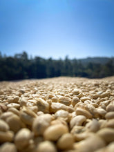 Load image into Gallery viewer, Ethiopia - G1 Bochesa
