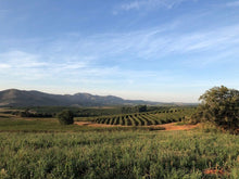 Load image into Gallery viewer, Brazil - Rancho Grande
